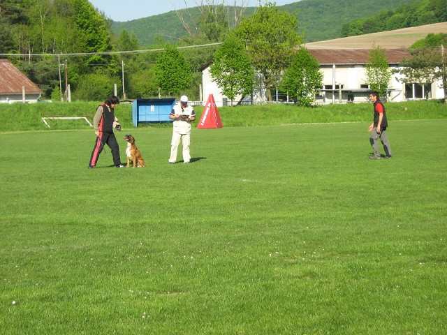 www.atibox.net * www.euroboxer.eu * www.boxergenealogia.eu